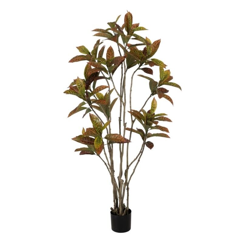 Plante décorative Caoutchouc polypropylène 60 x 60 x 150 cm