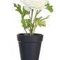 Plante décorative Polyester Polyéthylène Fer Fleur 9,5 x 9,5 x 29 cm