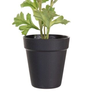 Plante décorative Polyester Polyéthylène Fer Fleur 9,5 x 9,5 x 29 cm