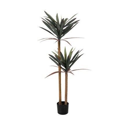 Plante décorative Caoutchouc polypropylène yucca 40 x 40 x 125 cm