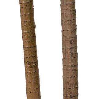 Pianta Decorativa Gomma polipropilene Cassava 40 x 40 x 125 cm