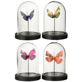 Set di 4 farfalle in cloche di vetro trasparente 11,5x11,5x16 cm