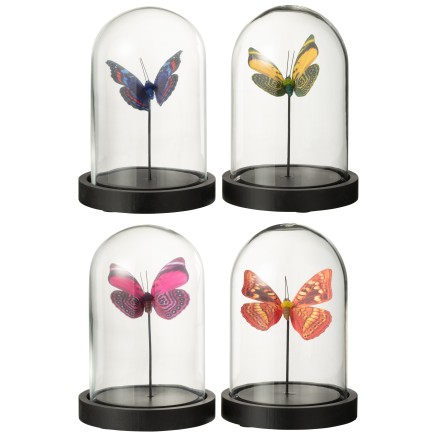 Set di 4 farfalle in cloche di vetro trasparente 11,5x11,5x16 cm