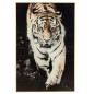 Decoración mural tigre en lienzo negro 80x120x2.5 cm