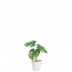 Philodendron artificiel dans pot blanc en plastique vert 21x10x25 cm