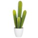 Cactus vert dans pot en plastique blanc 22x16x52.5 cm