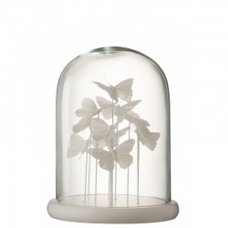 Papillon bajo una gran campana de vidrio blanco de 30x24x24 cm