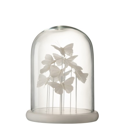 Papillon sous grande cloche en verre blanc 30x24x24 cm