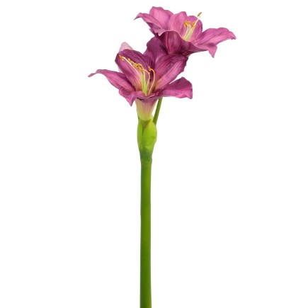 Amaryllis plastique en plastique mauve 15x22x86 cm