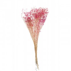 Bouquet de gypsophile séché en bois Fuchsia 15x15x75 cm