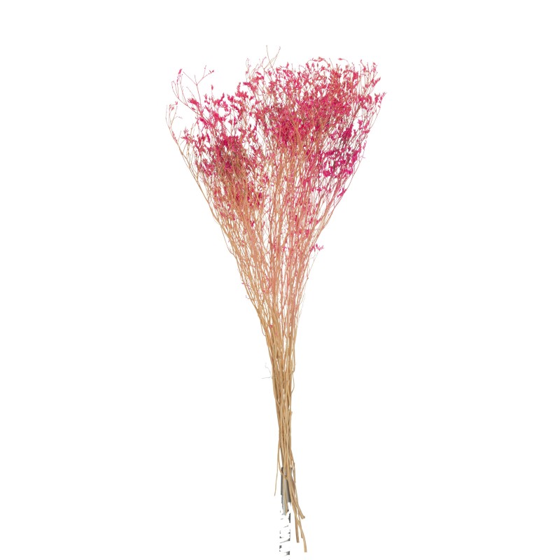 Ramo de gypsophila seca en madera Fucsia 15x15x75 cm