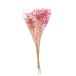 Ramo de gypsophila seca en madera Fucsia 15x15x75 cm