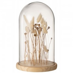 Campana con flores secas en vidrio transparente 21x21x37 cm
