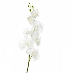 Orquídea de plástico blanco 12x5x98 cm