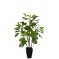 Philodendron en pot en plastique vert 73x73x117 cm