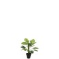 Philodendron en pot en plastique vert 15x15x54 cm