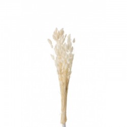 Bouquet de fleurs sèchées en bois blanc 10x10x73 cm