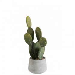 Cactus + maceta verde/cemento Alt. 50 cm